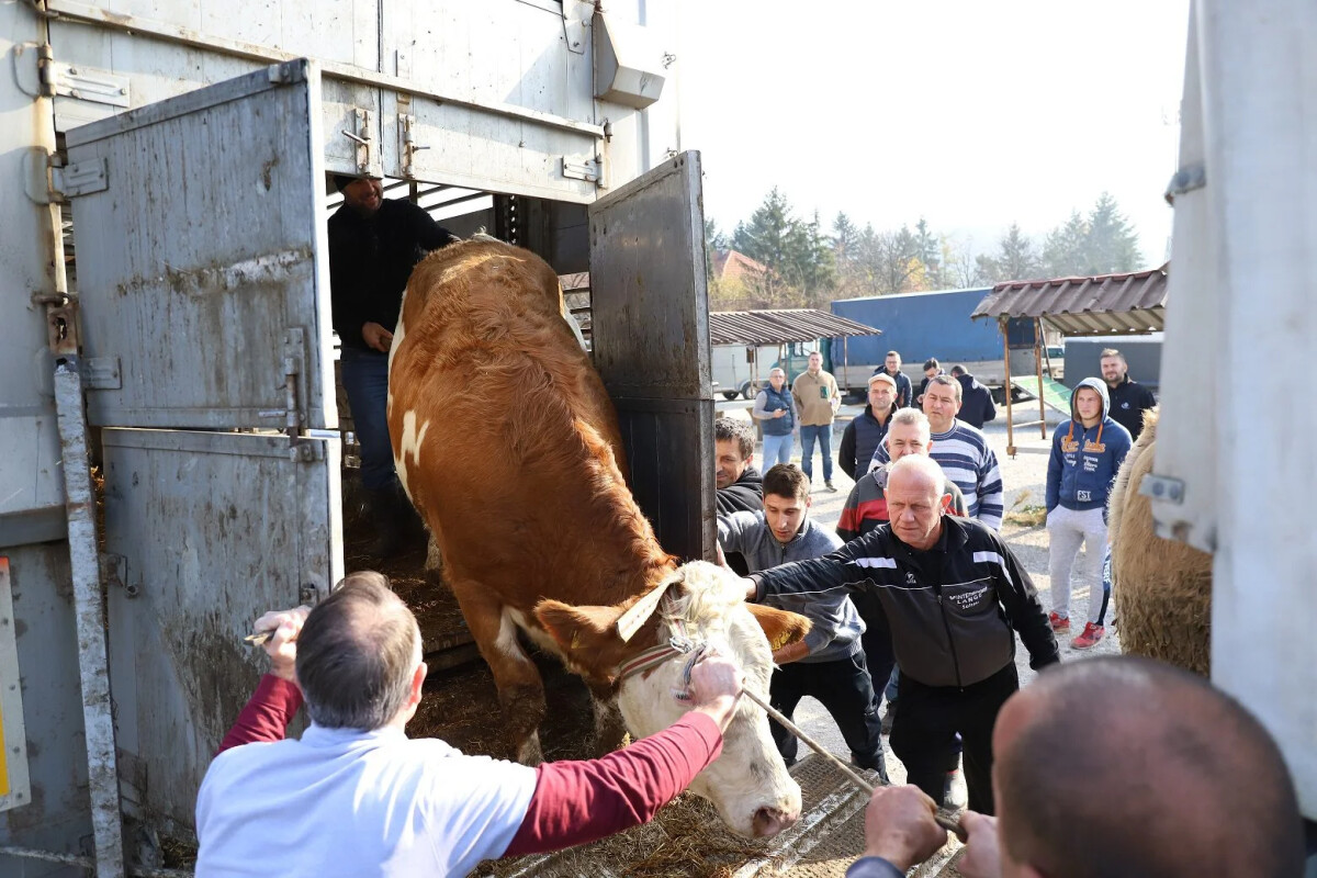 Dodjela junica u Zenici (Foto: Grad Zenica)