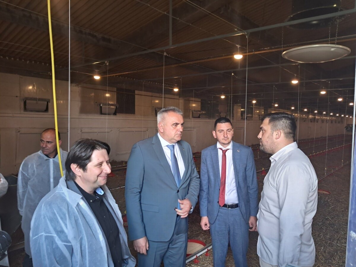 ljudi unutar objekta farme pilića