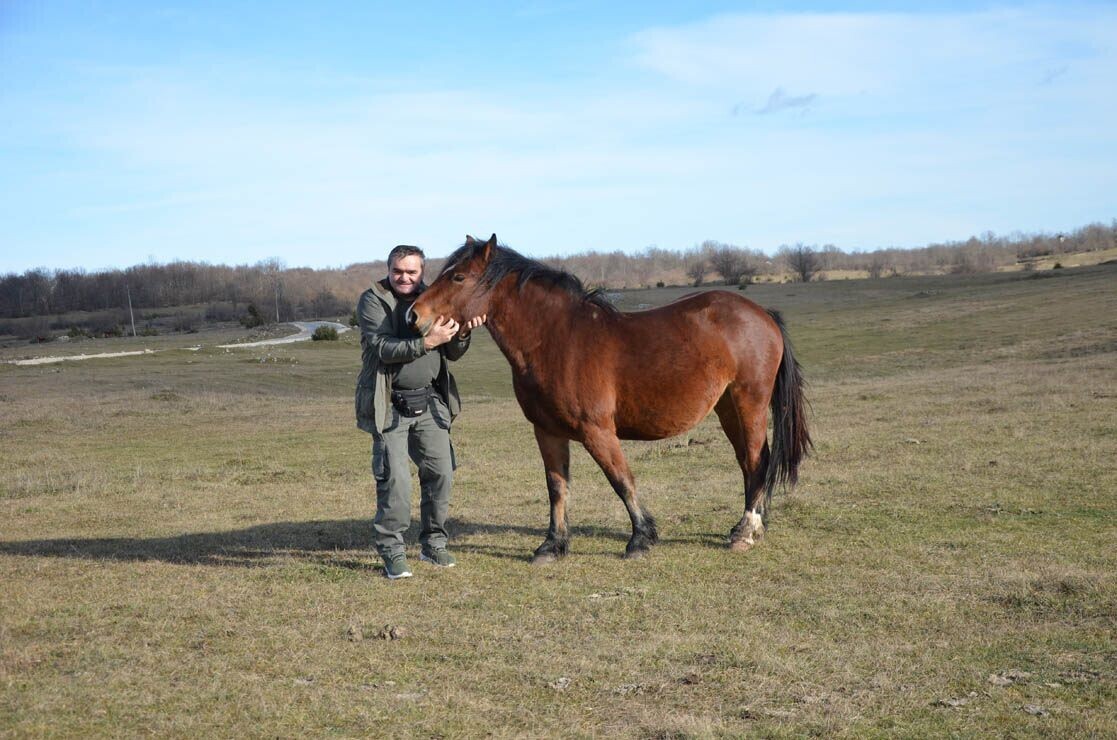Željko sa konjem