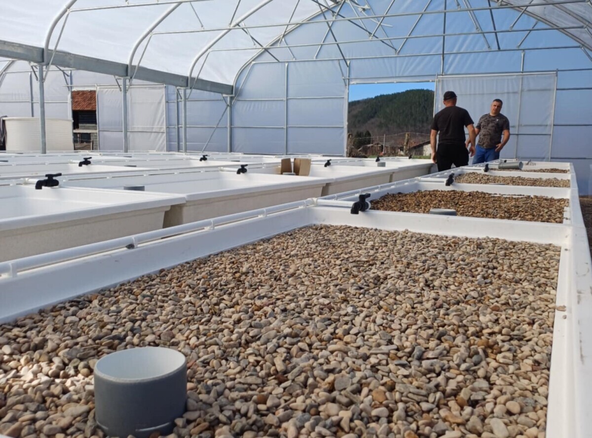 izgradnja akvaponije