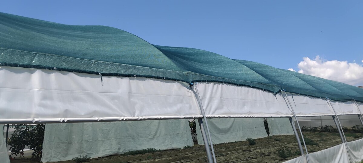 zasjenjivanje plastenika