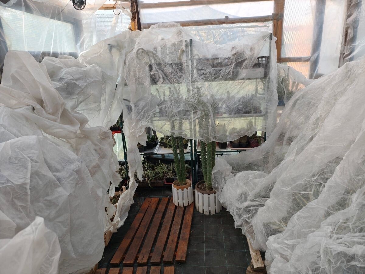 Zaštita biljaka agrotekstilom