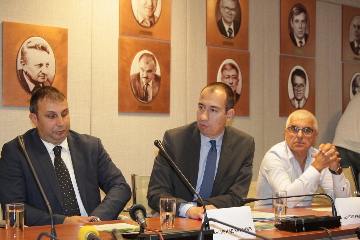 Katanić, Vuk, Radojević