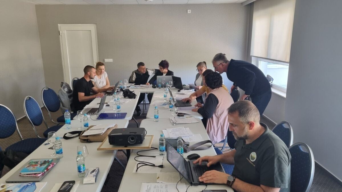 Radionica u Petrovu