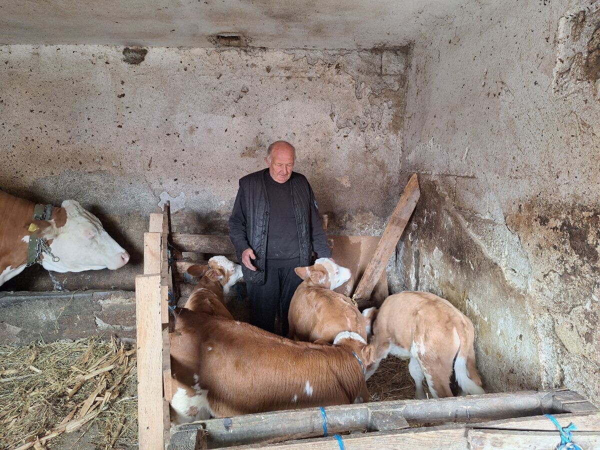 Miodrag sa telićima