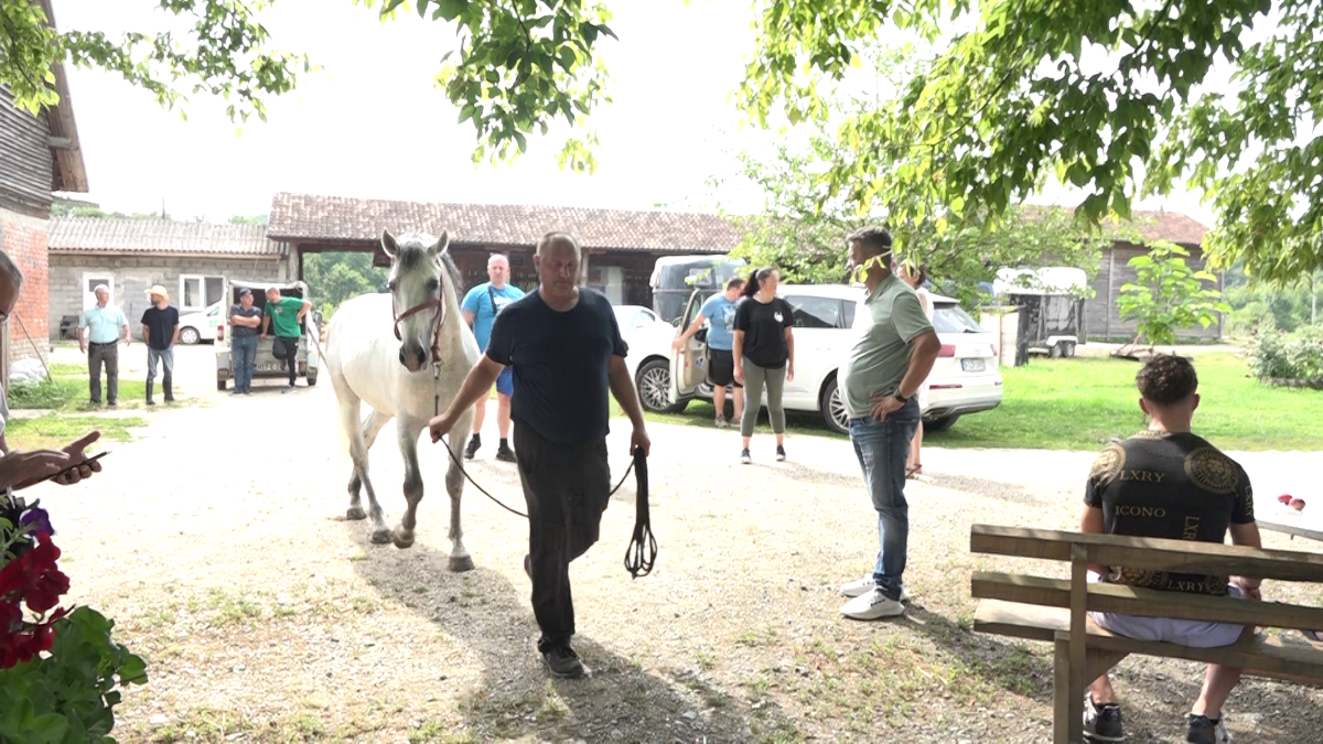 Predrag prilikom licitacije svog lipicanera