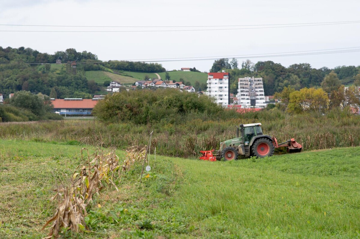 izvlaštenje