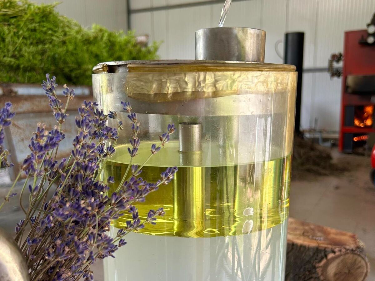 Proizvidnja eteričnih ulja