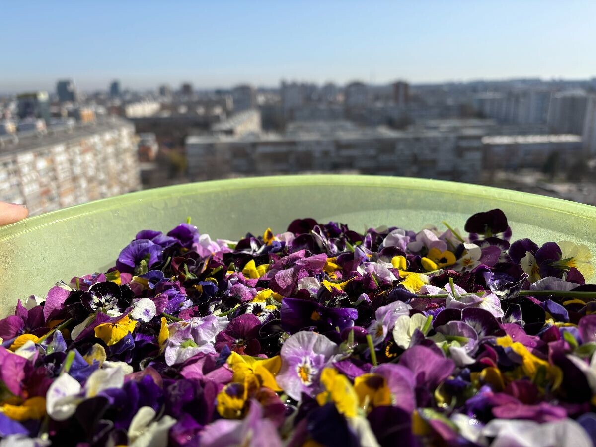 Mikropovrće Kliconoša