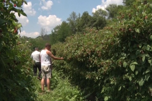 Malinjak Stojkovića
