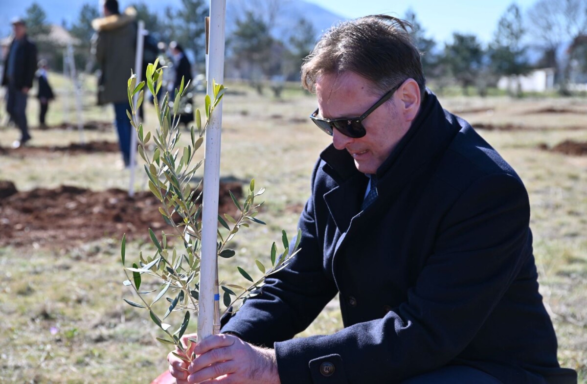 Ministar Kemal Hrnjić posadio maslinu