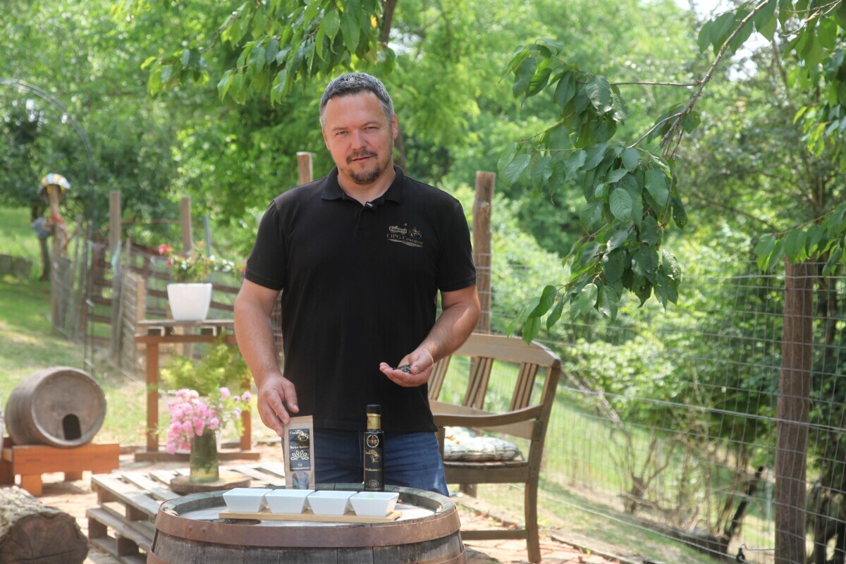 cesarec buče