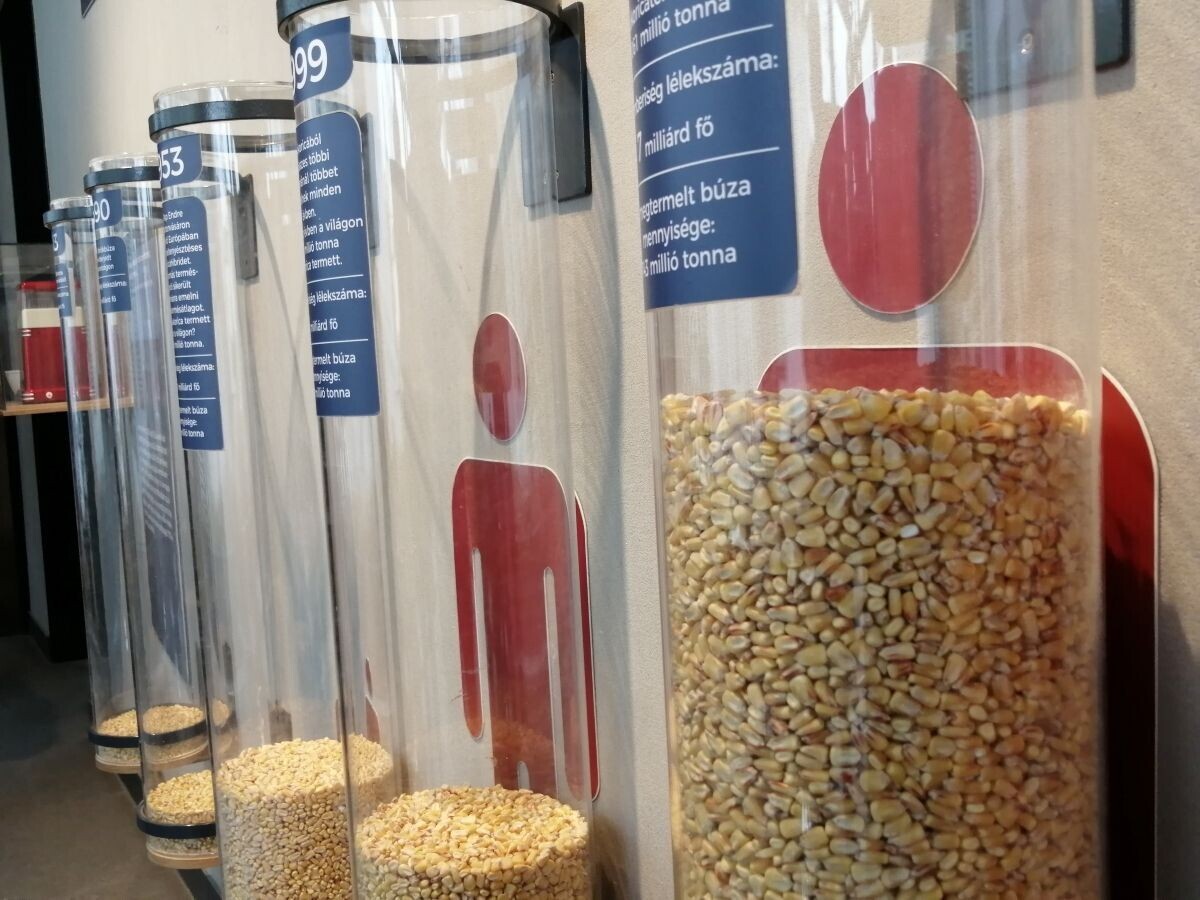 LAG kukuruz Mađarska