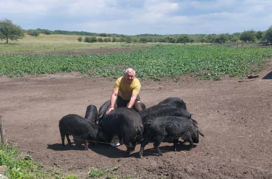 Nikola Bodrožić sa moravkama