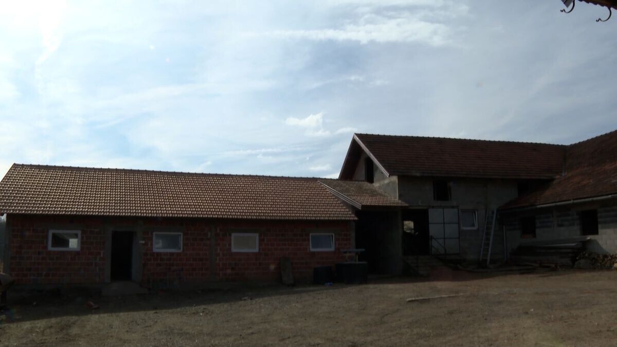 Nova farma za svinje