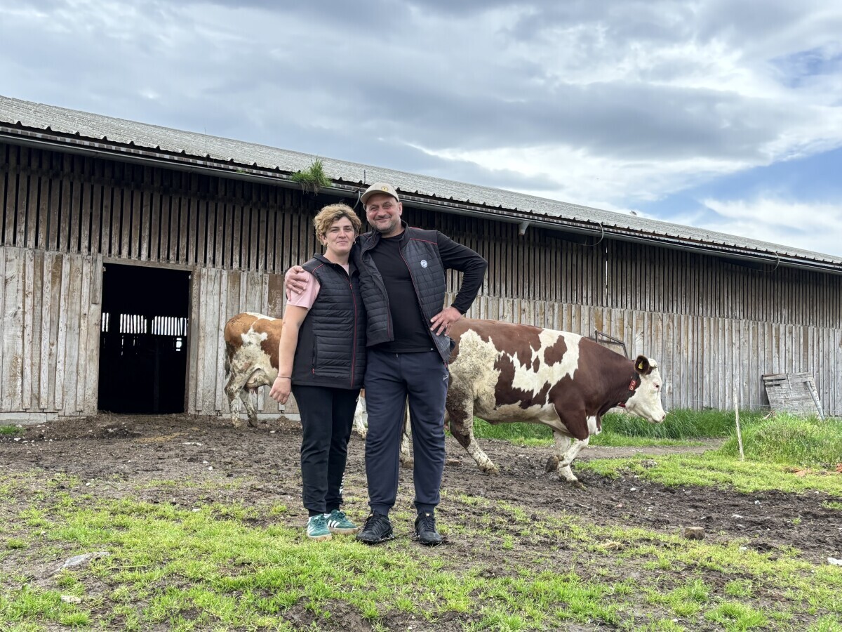 farma krave Poljinos