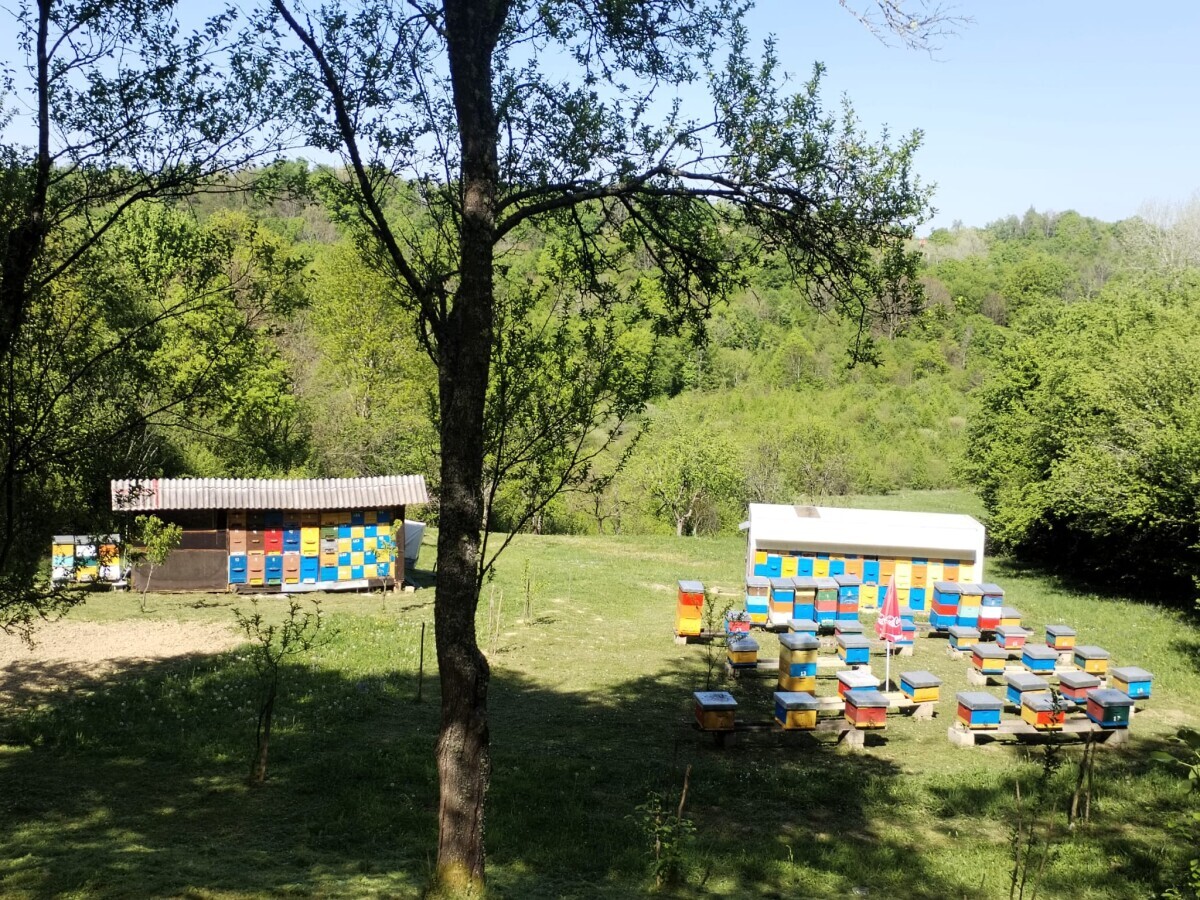 slika kompes