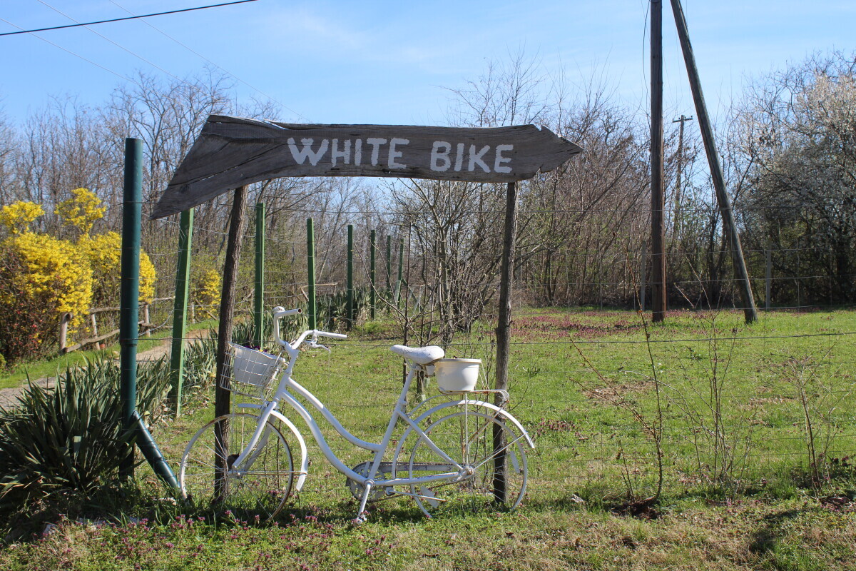 White Bike