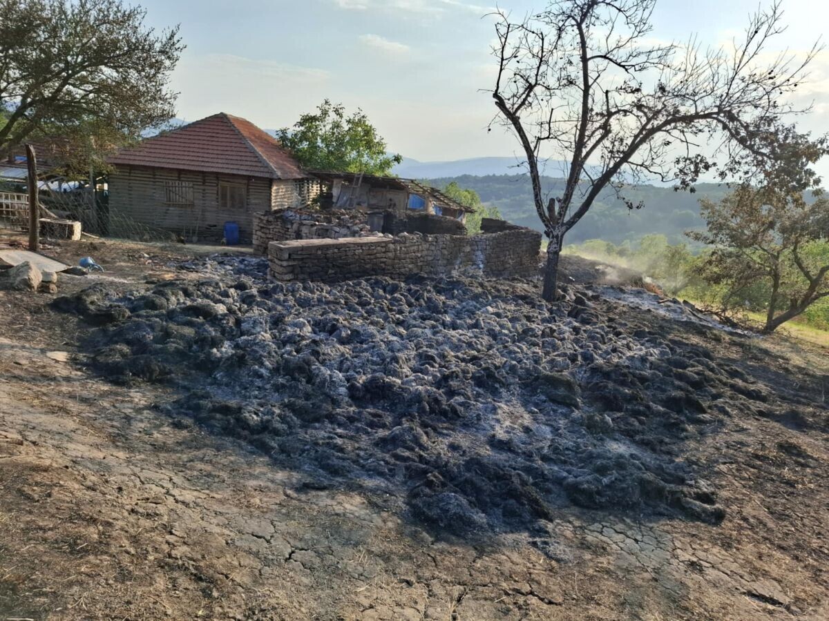 požar