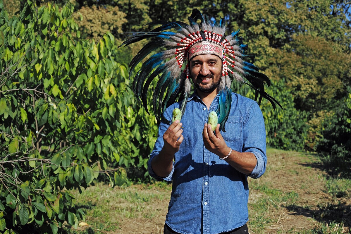 indijanska banana