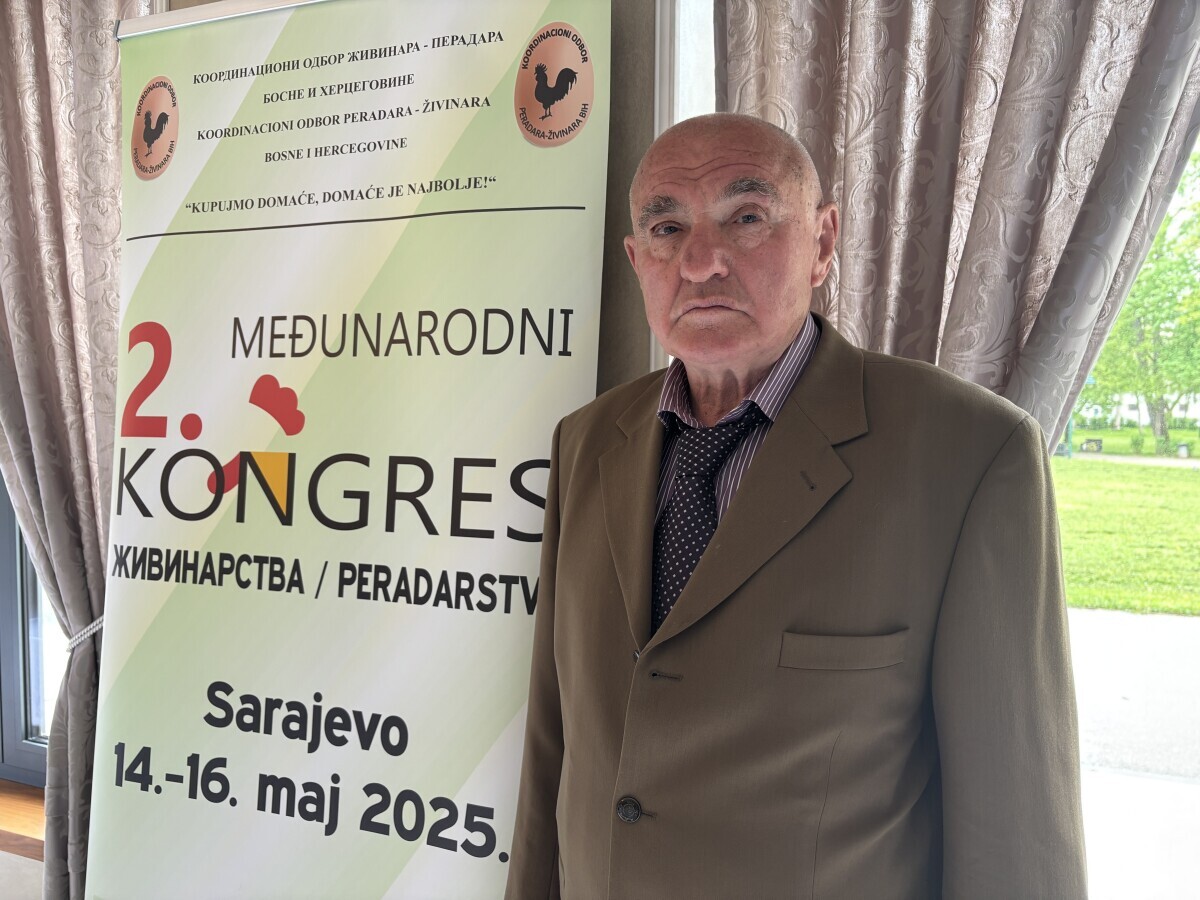 Mesud Pinjo