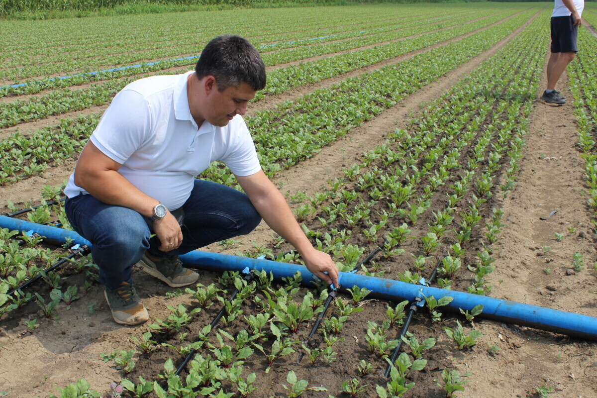 Čovek proverava sistem za navodnjavanje