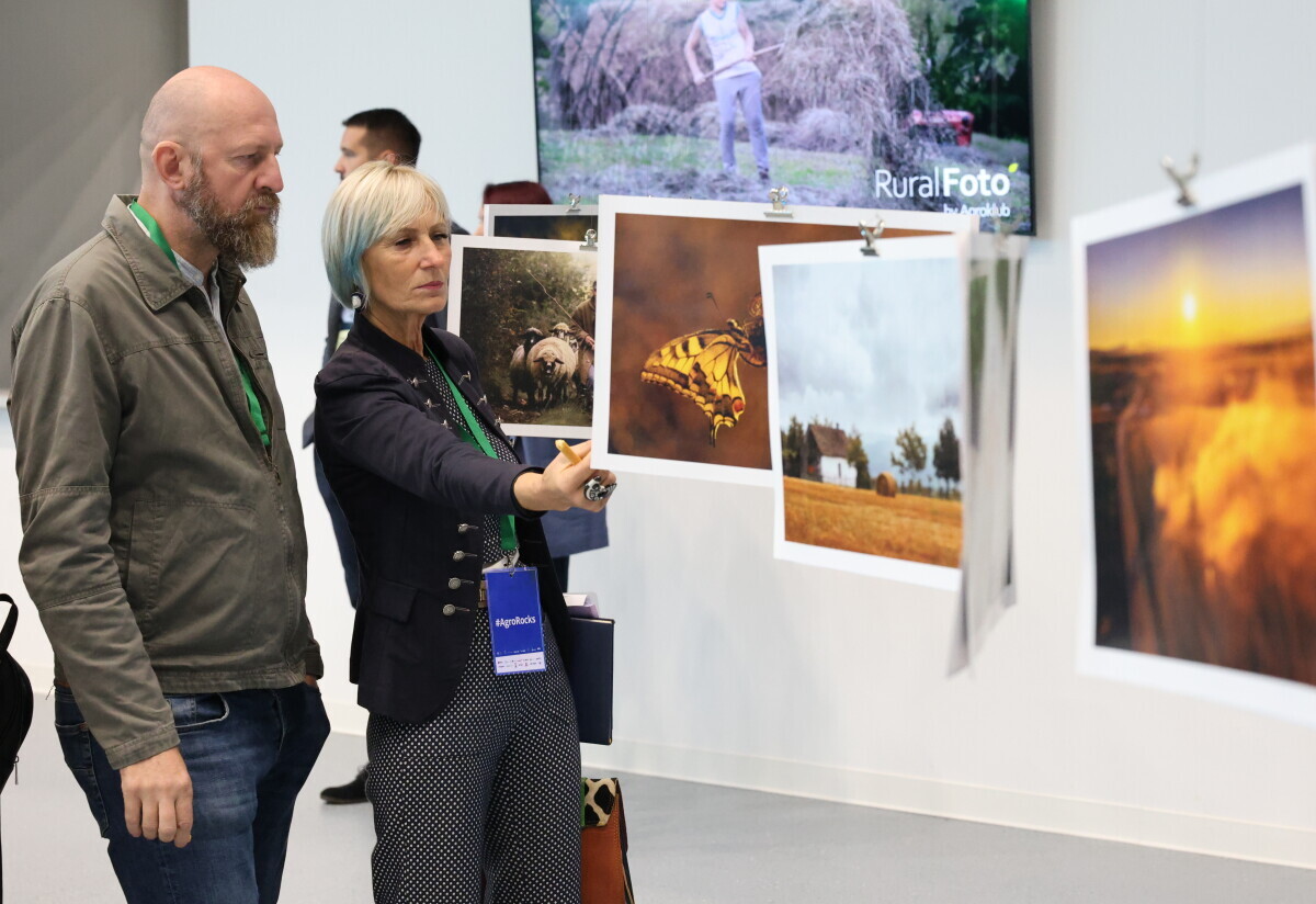 Izložba najboljih fotografija 2024
