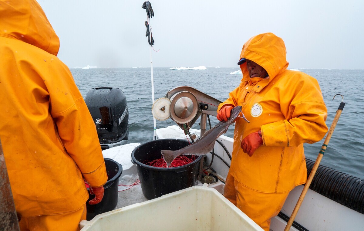 Grenland, poljoprivredna proizvodnja