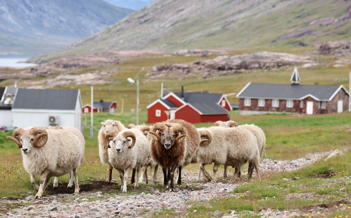Grenland, poljoprivredna proizvodnja