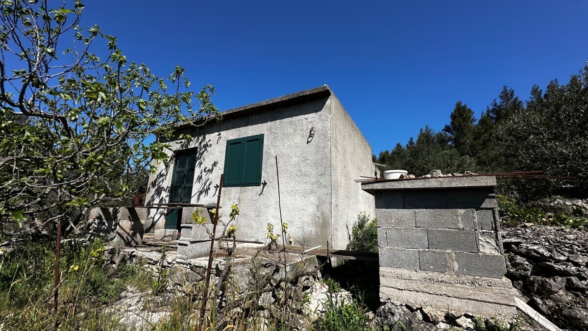 Kućica uz maslinik