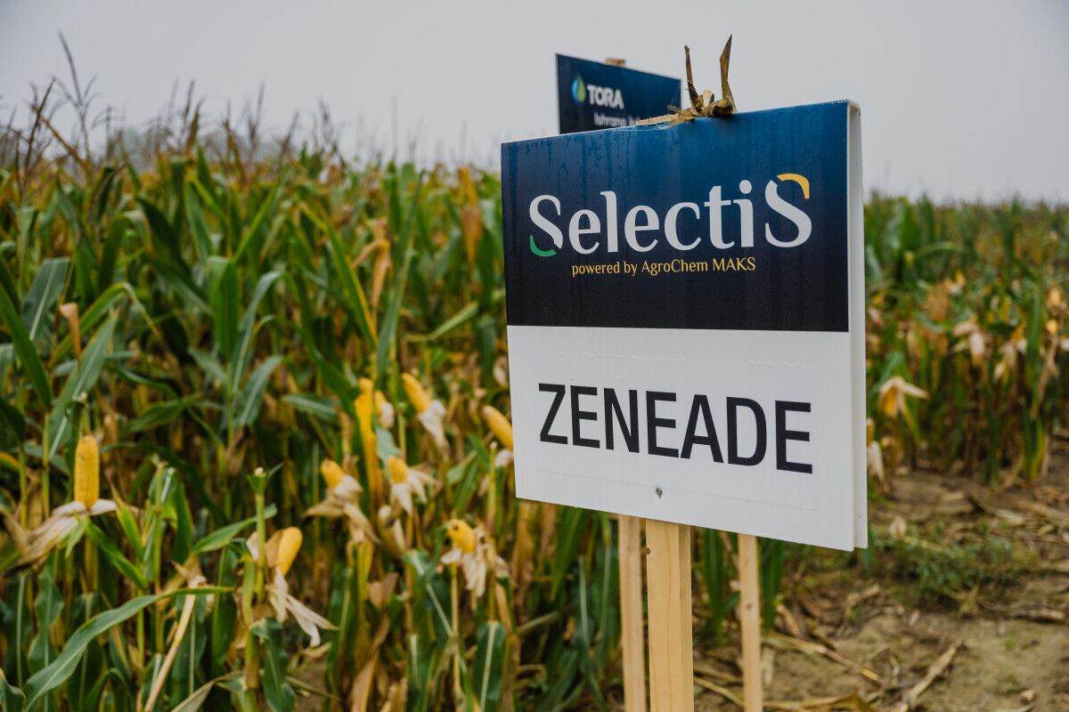 Kukuruz hibrid Zeneade