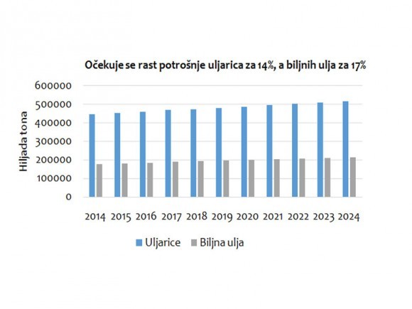 cene uljarica