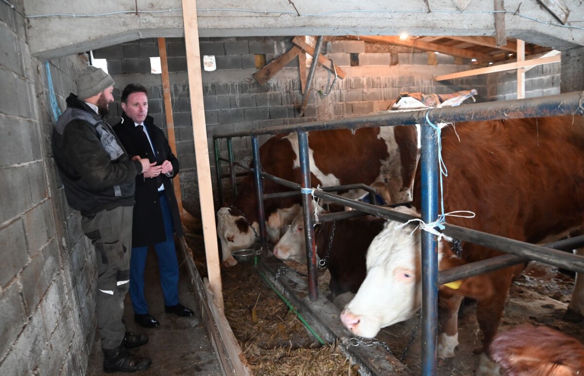 mladi poljoprirednik i ministar u štali