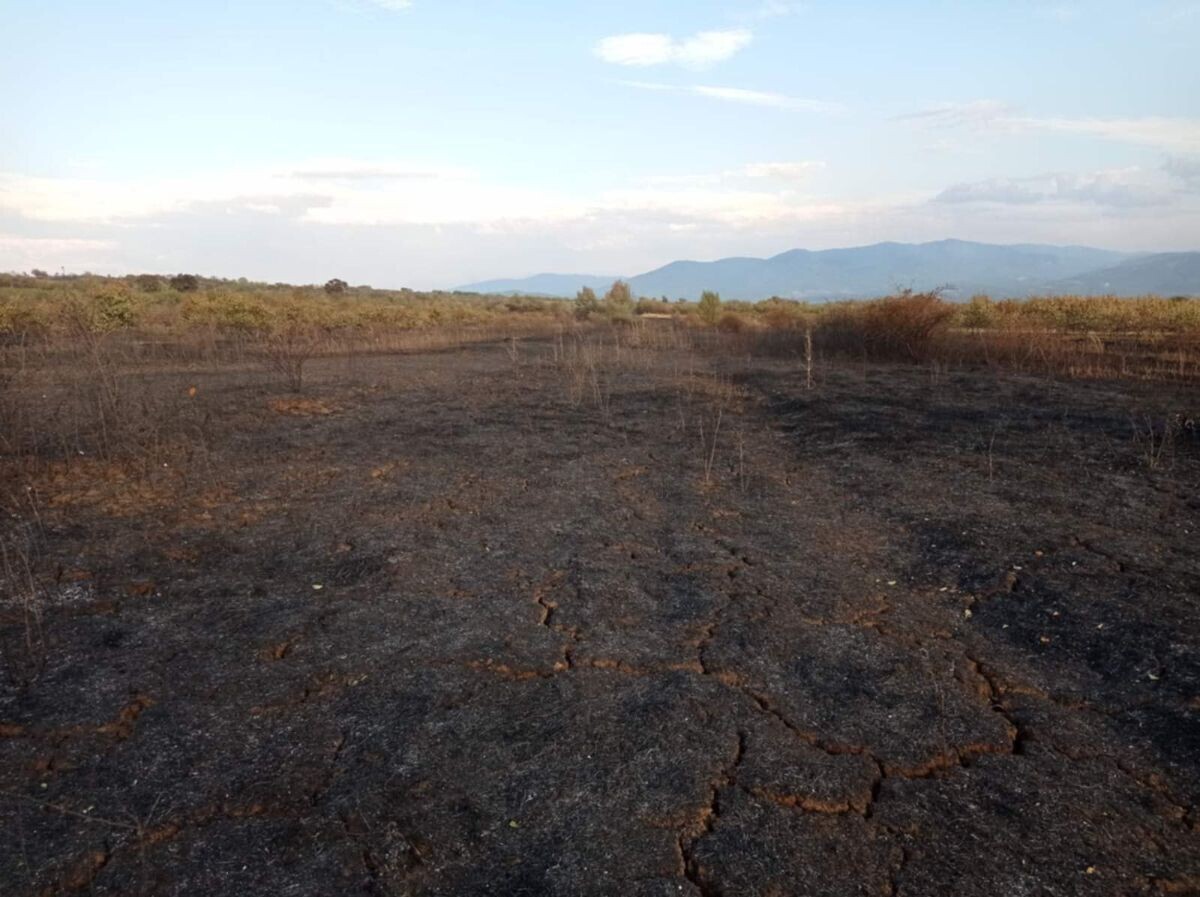 Spaljena zemlja nakon požara