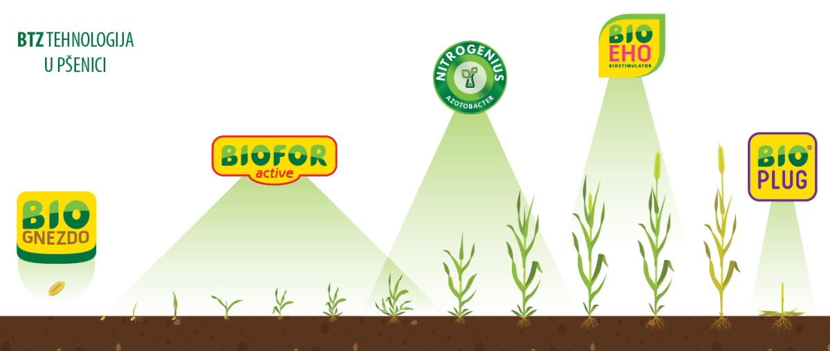 biofor active u pšenici