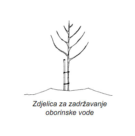 Zdjelica za zadržavanje vode