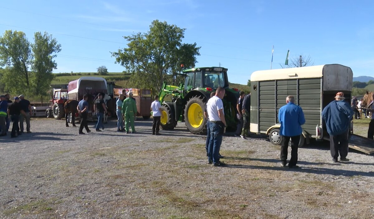 Farmerima pokriveni troškovi prijevoza stoke