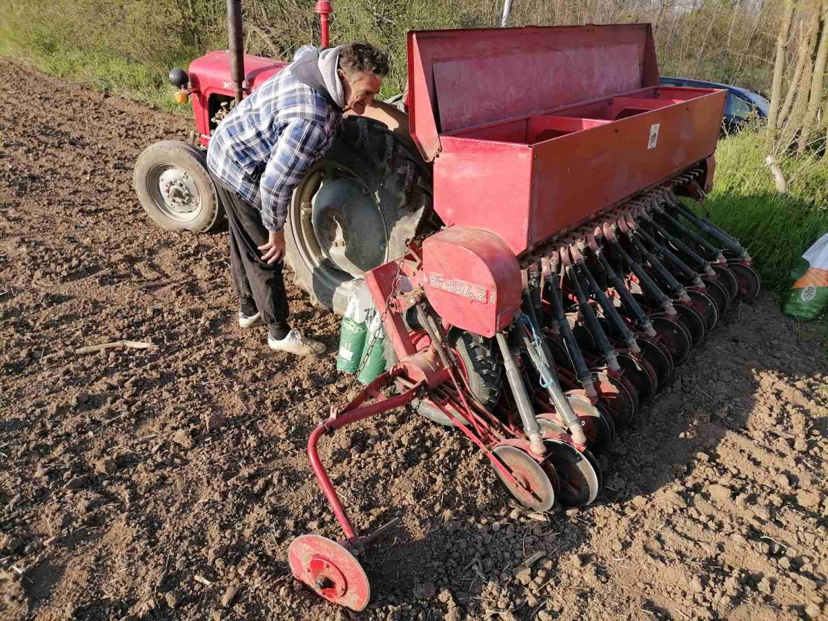 Ratari kažu da je sejanje lucerke isplativo