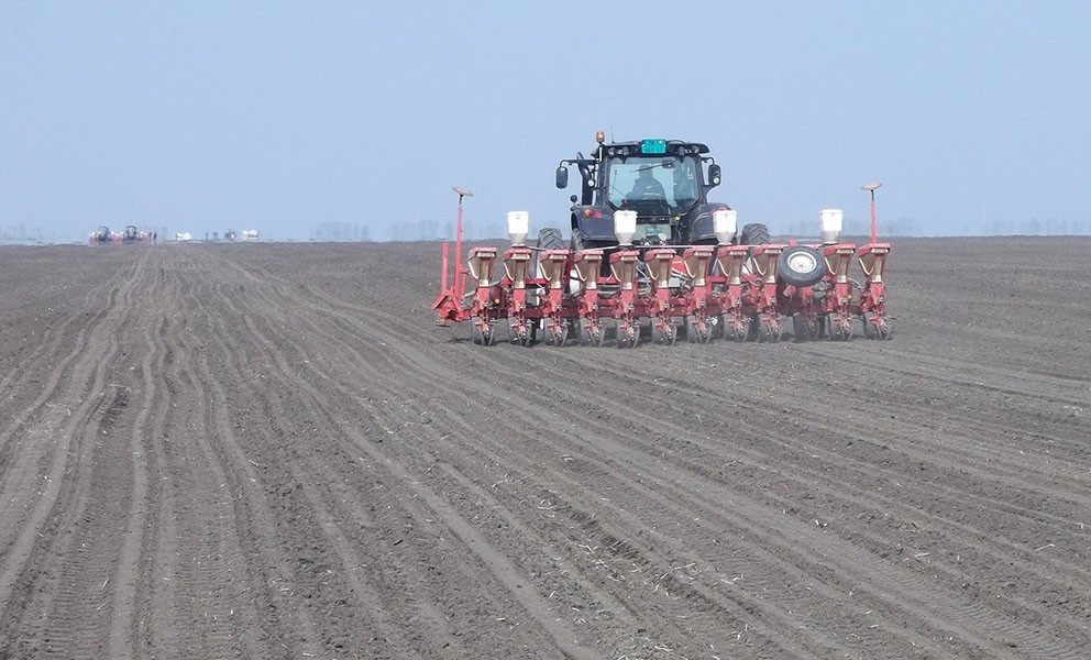 Setva šećerne repe