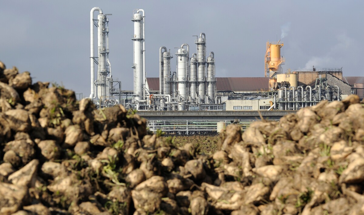 tvornica za preradu šećerne repe