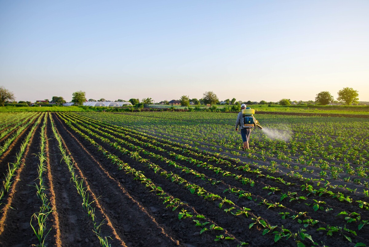 farmer tretira usjeve krompira
