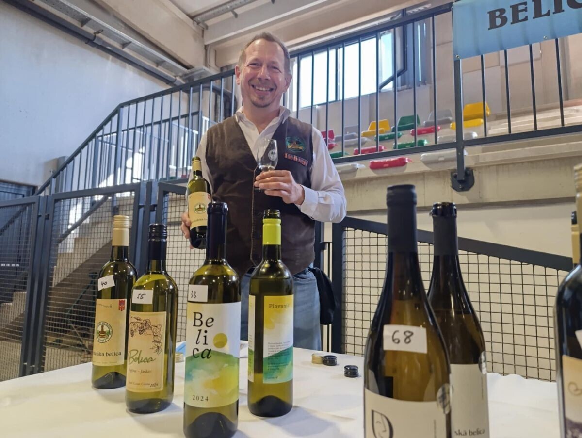 vino belica