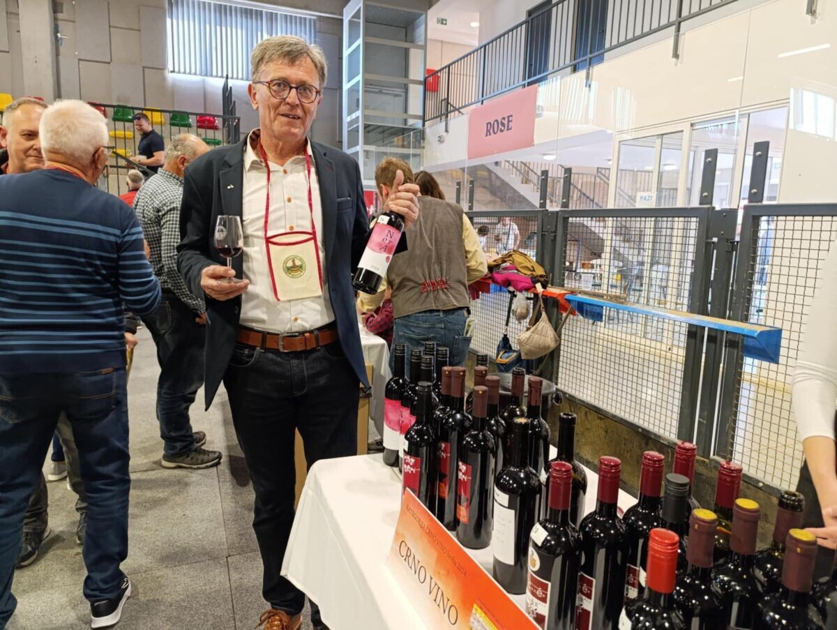 vino belica