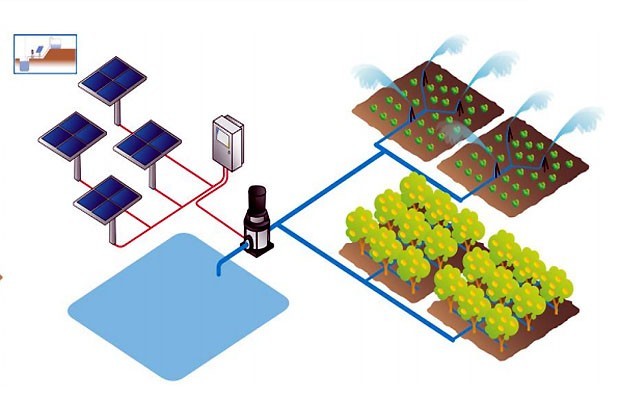 Sunce navodnjava povrće