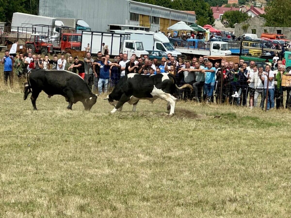 korida