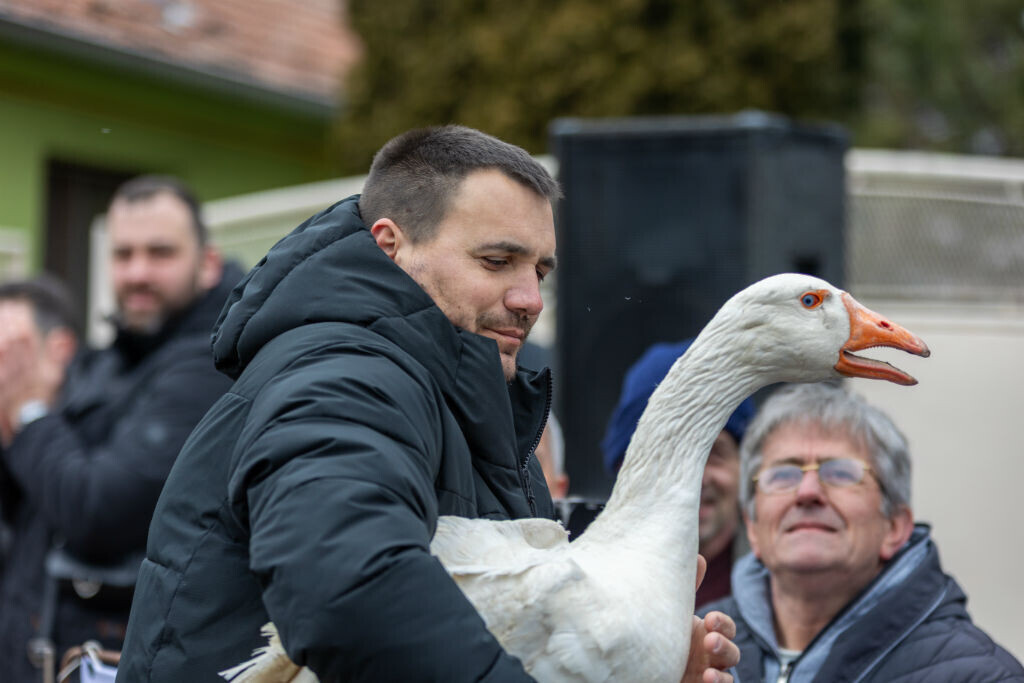 čovjek drži gusana