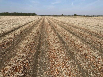 Pipelife sistem za navodnjavanje u Silbašu i Gospođincima