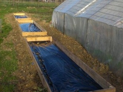 Plastenik za uzgoj povrća Plastenik za uzgoj povrća