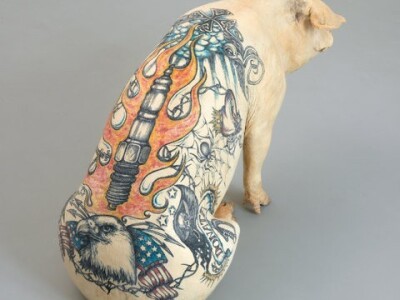 Tetovirane svinje Tetovirane svinje