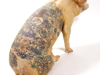 Tetovirane svinje Tetovirane svinje